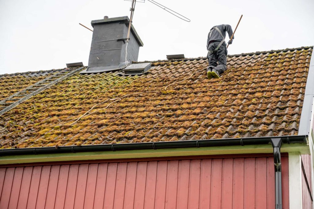 Roof moss removal services Fakesville