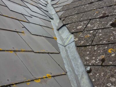 Fakesville roof cleaning